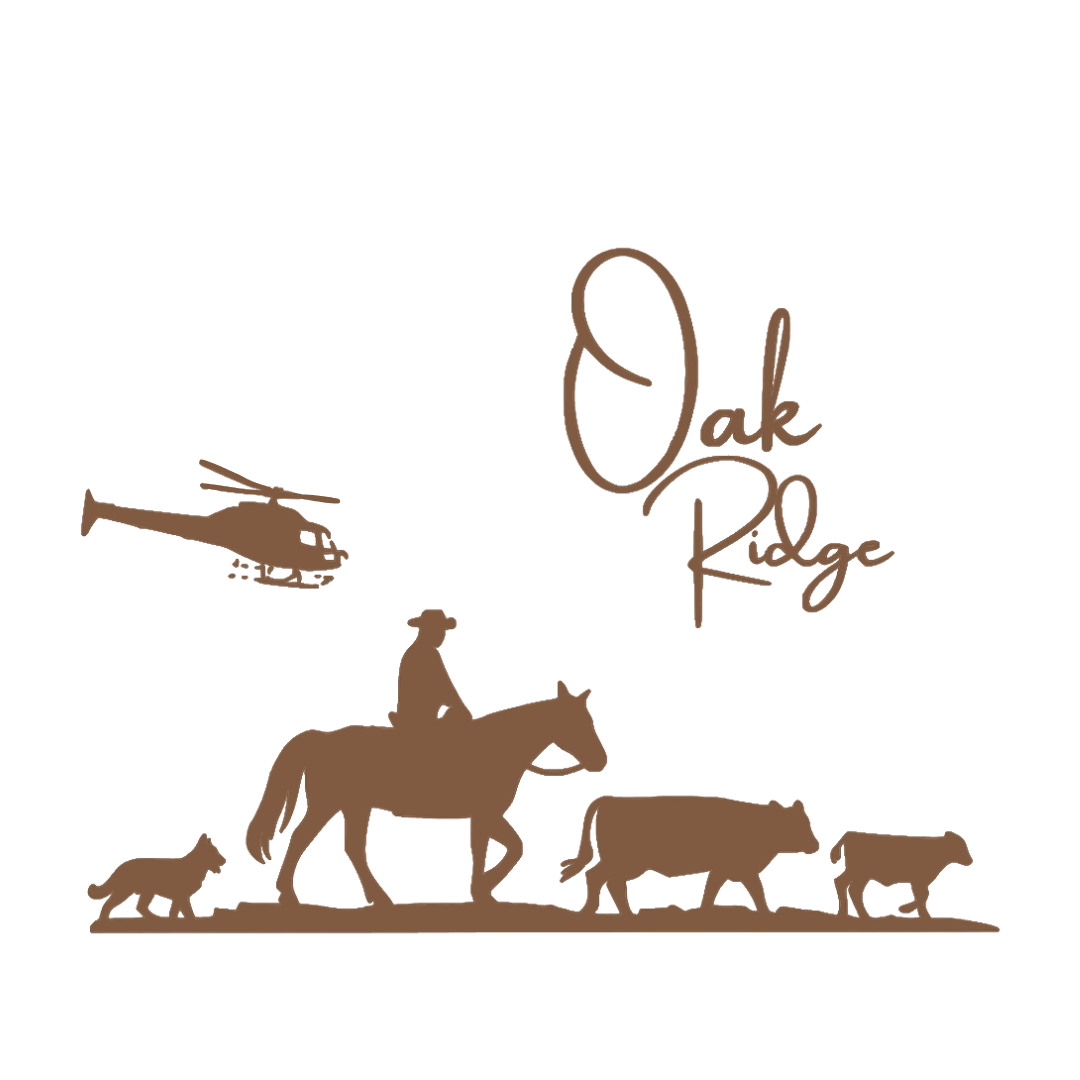 Oak Ridge Clothing